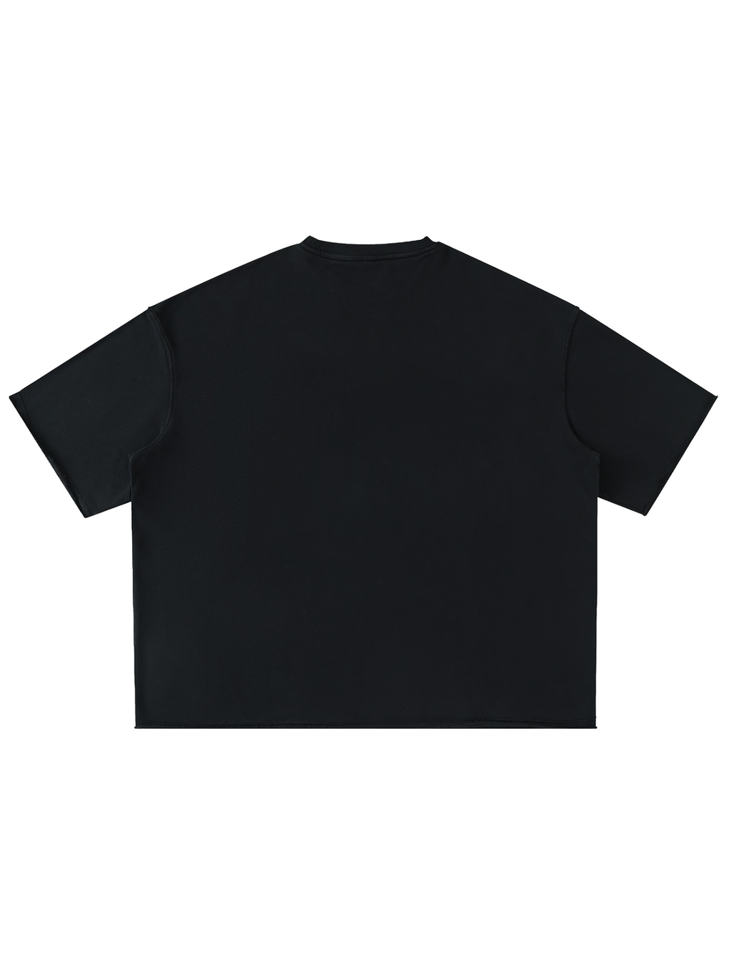 Unisex washed rolled hem half sleeve t-shirt in Black, back view on white. Marcel Afters