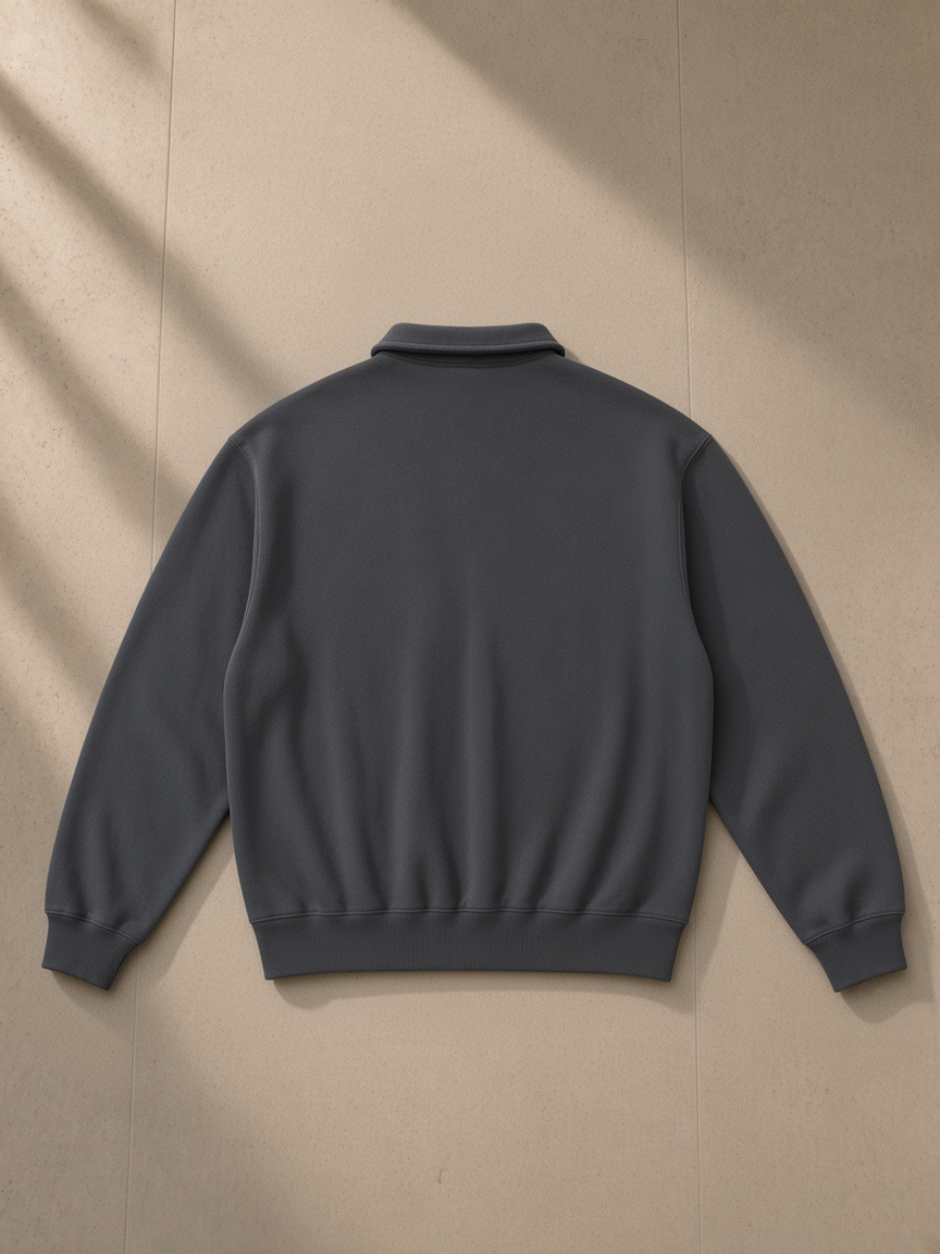Heavyweight polo-collar sweatshirt in Dark Gray, back view