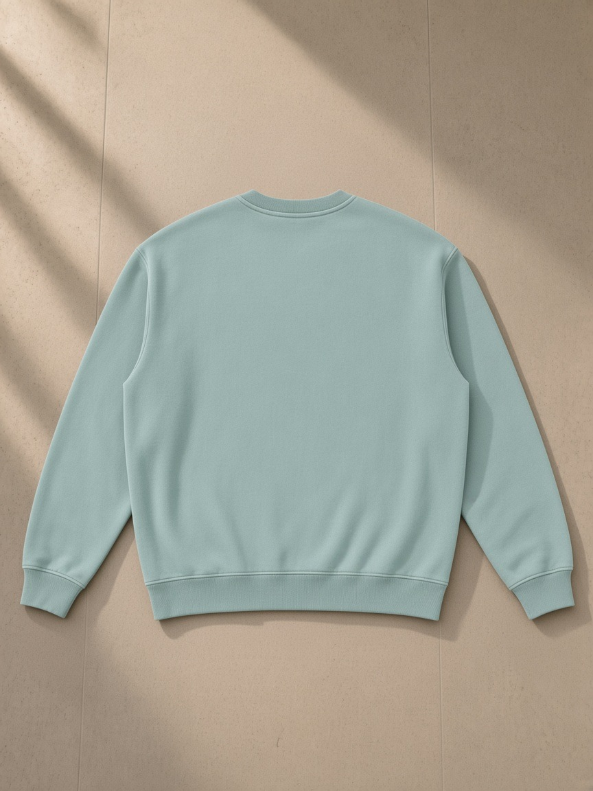 Vintage wash fleece sweatshirt in Lake Blue, back view