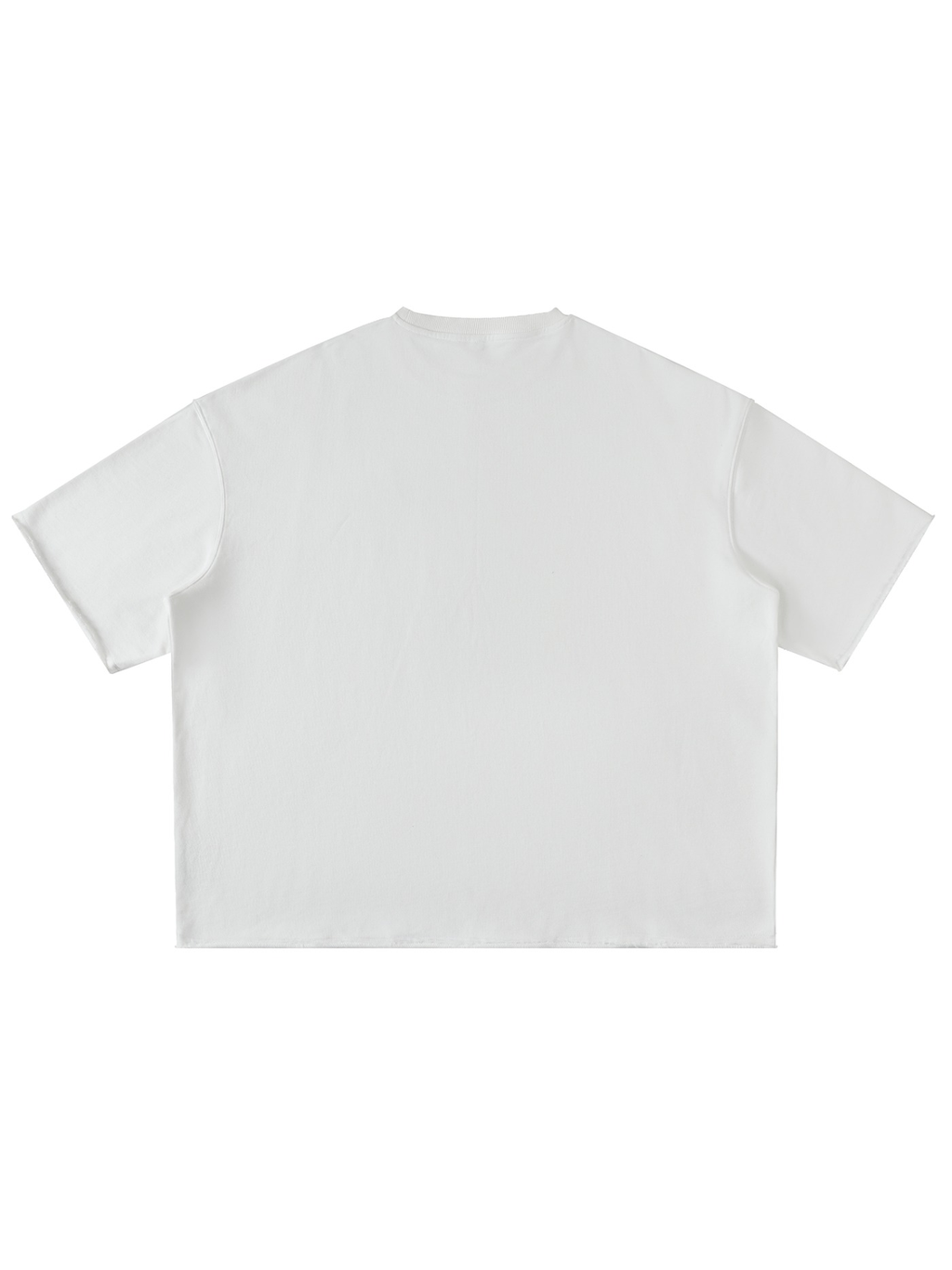 Unisex washed rolled hem half sleeve t-shirt in White, back view on white. Marcel Afters