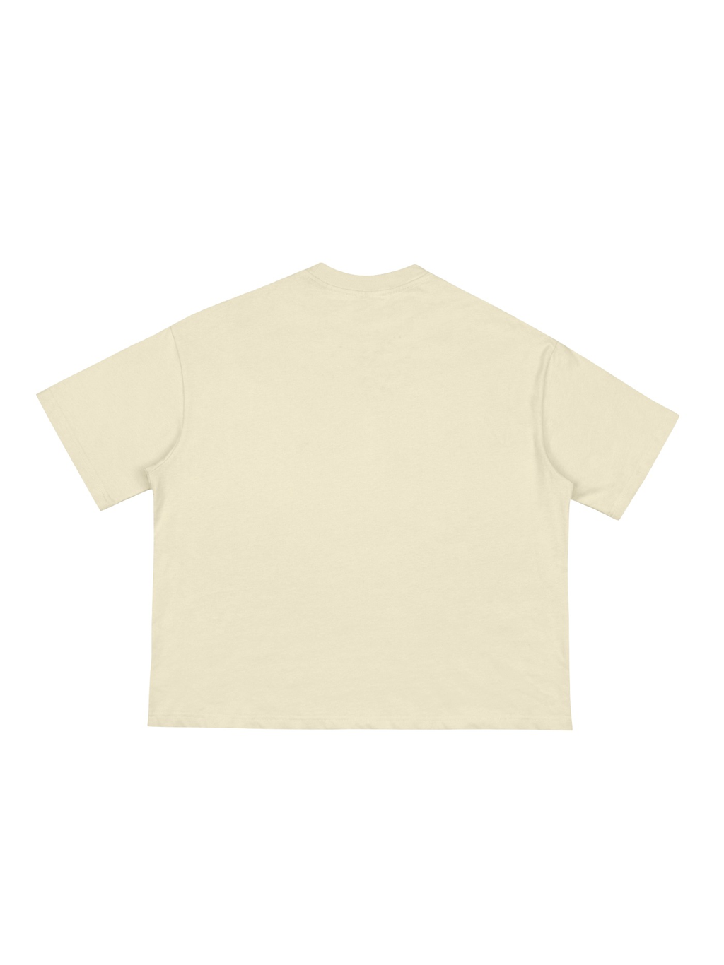 Unisex classic loose boxy tee in Apricot, back view on white. Marcel Afters