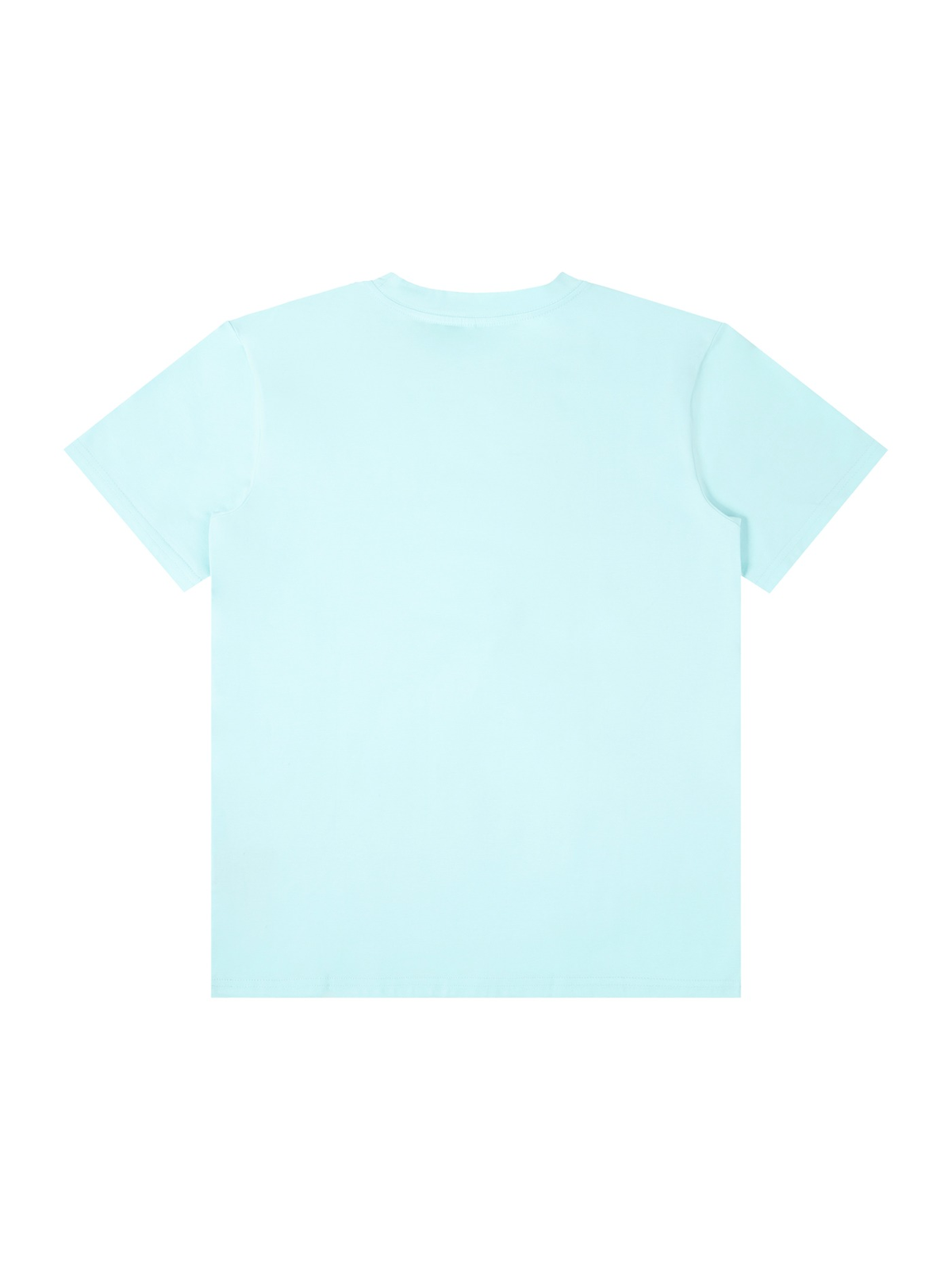 Unisex classic crew neck cotton t-shirt in Ice Water, back view on white. Marcel Afters