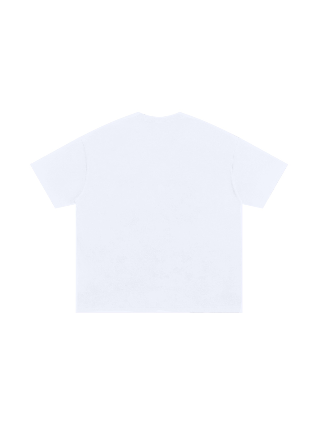 Oversized Cotton T-Shirt in White, back view