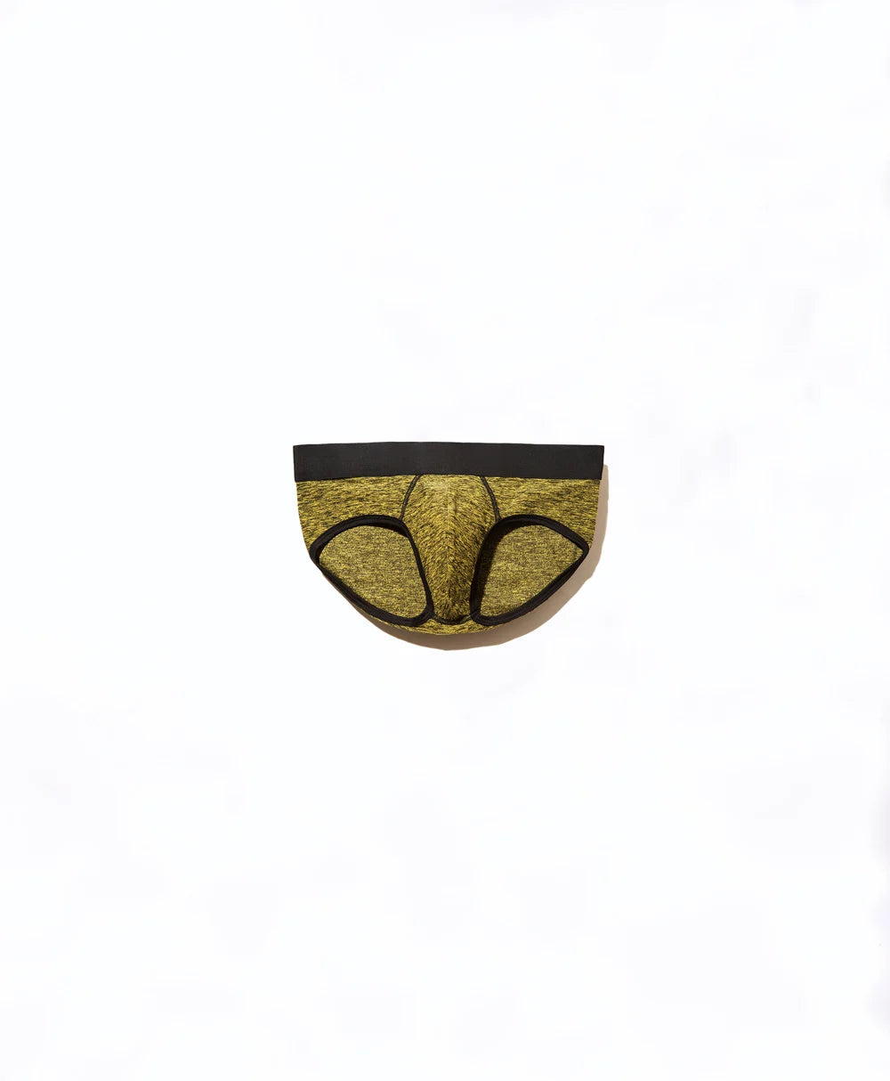 True Notions Brief — Canary / Black