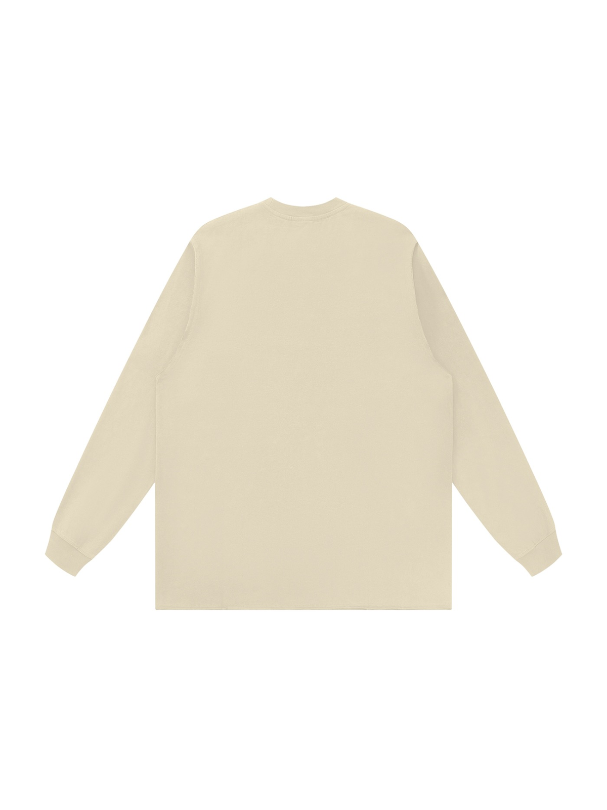 Raw Hem Long Sleeve T-Shirt in Mild Apricot, back view