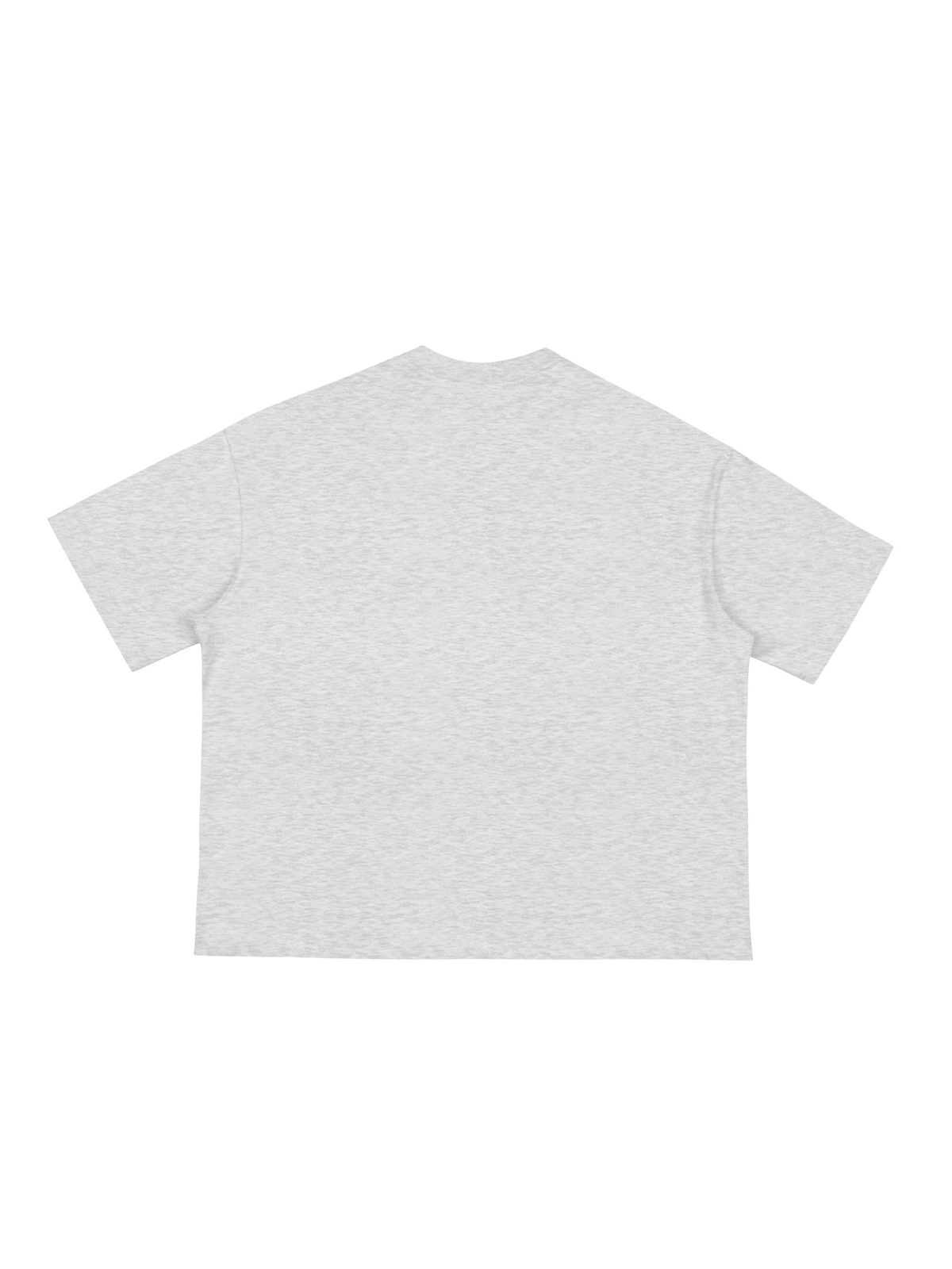 Unisex classic loose boxy tee in Flower Gray, back view on white. Marcel Afters