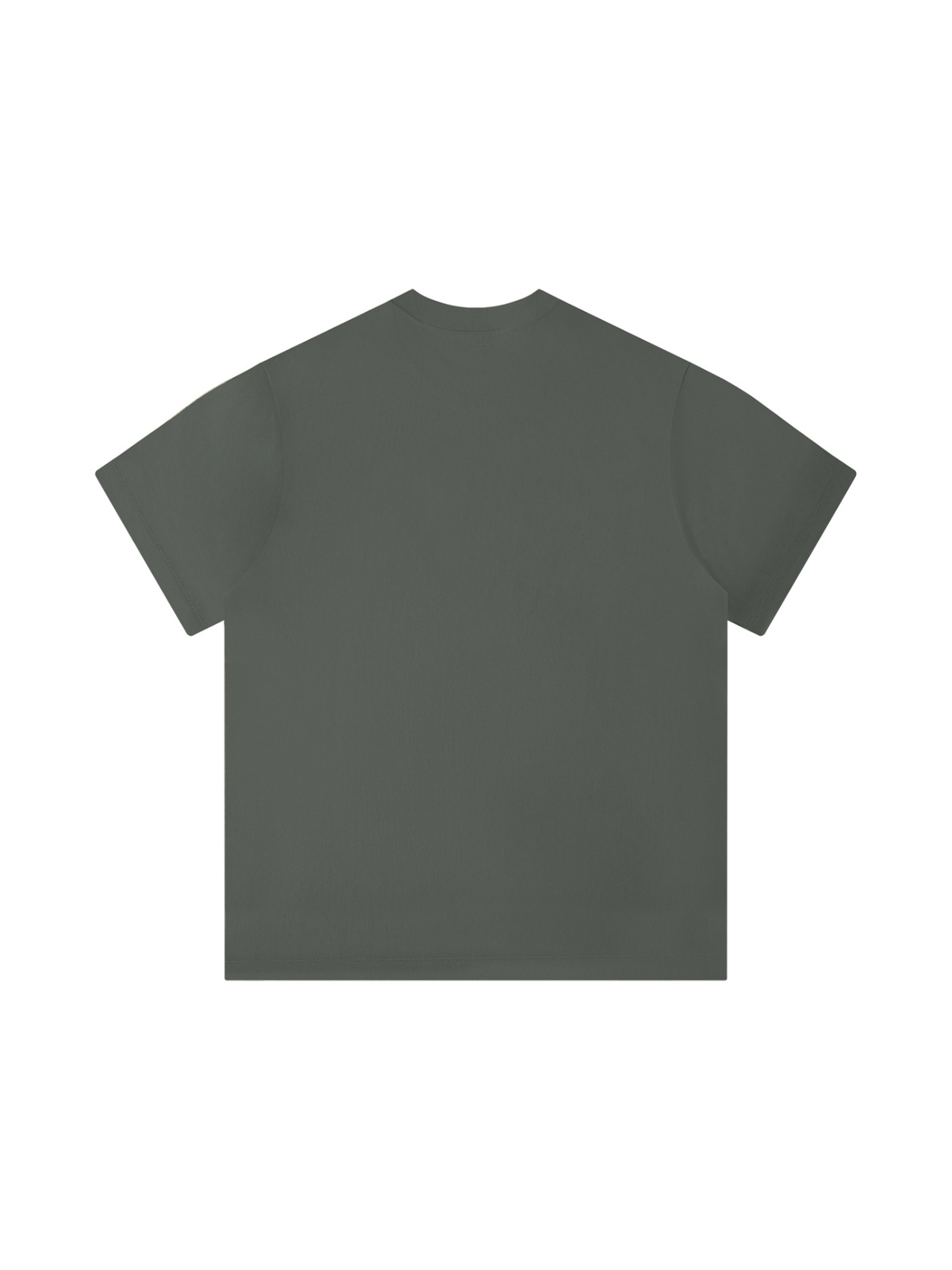 Unisex regular fit t-shirt in Dark Gray, back view on white. Marcel Afters