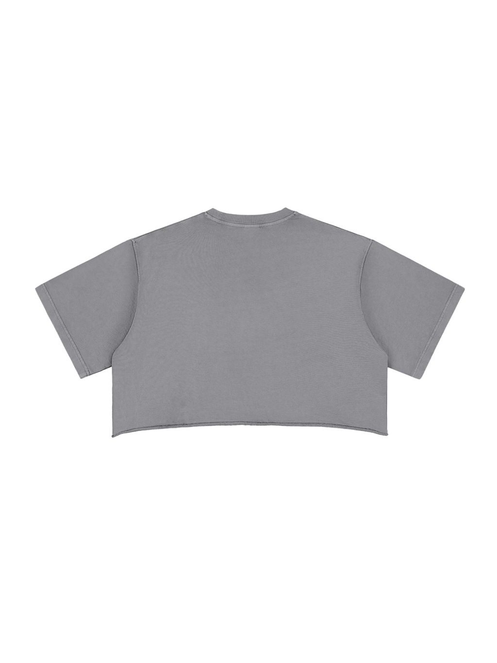 Unisex snow washed raw edge crop top in Gray, back view on white. Marcel Afters
