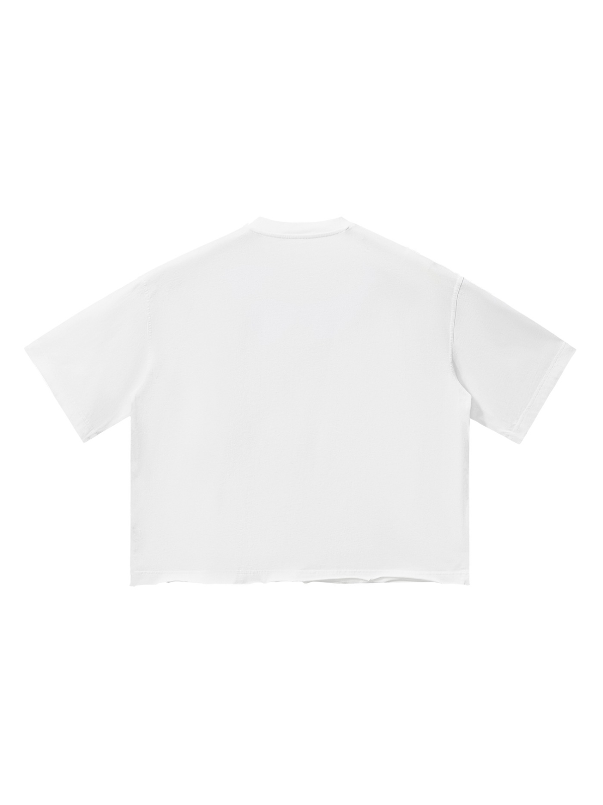 Vintage Wash Boxy T-Shirt in White, back view