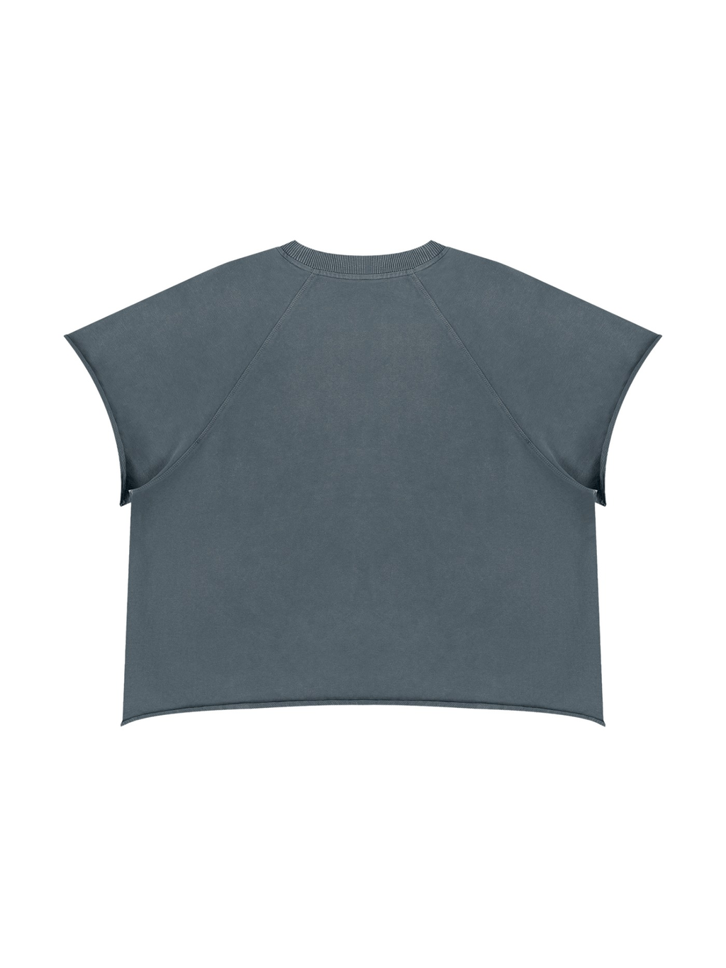 Unisex vintage wash raw edge boxy t-shirt in Gray Blue, back view on white. Marcel Afters