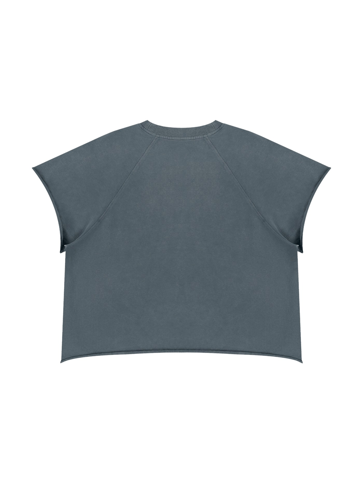 Unisex vintage wash raw edge boxy t-shirt in Gray Blue, back view on white. Marcel Afters