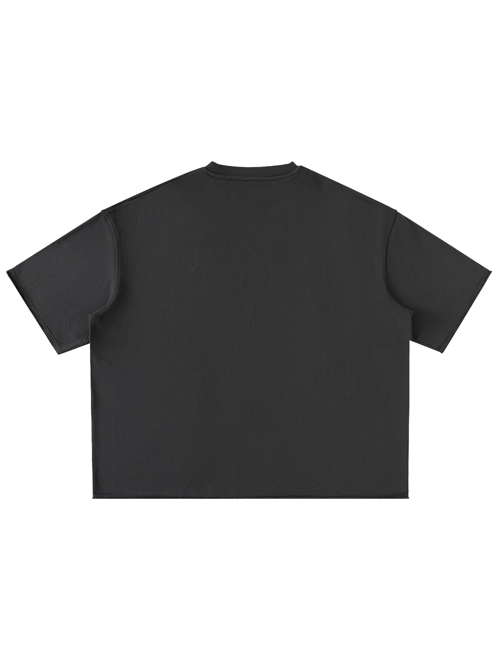 Unisex washed rolled hem half sleeve t-shirt in Dark Gray, back view on white. Marcel Afters