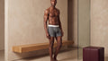 True Notions Boxer Brief — Granite / White — worn, Granite / White